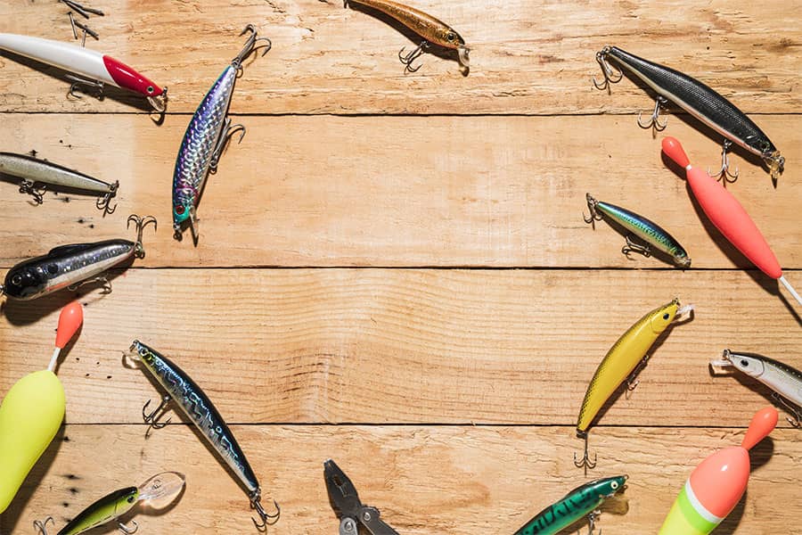 Catch Carps with Artificial Lures