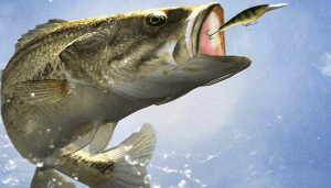 bass fishing after a storm