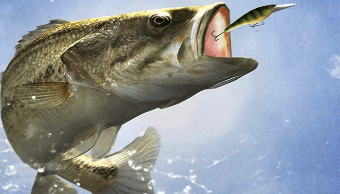 bass fishing after a storm