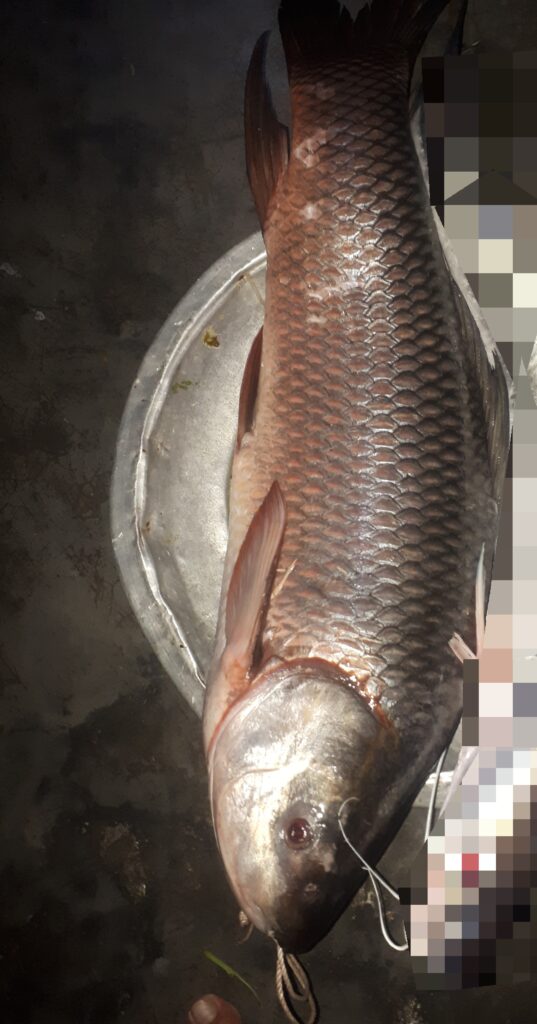 How to Catch Asian Carp