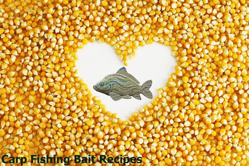 Carp Fishing Bait Recipes