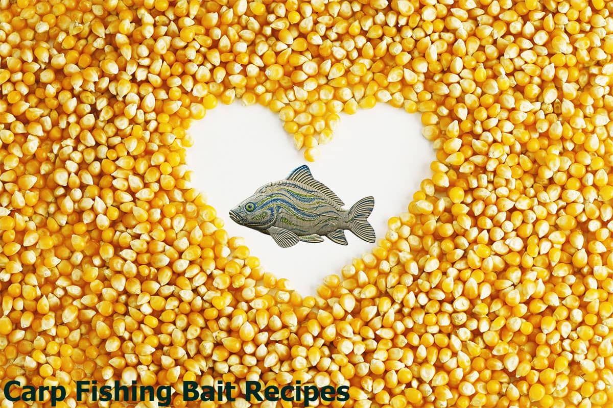Carp Fishing Bait Recipes