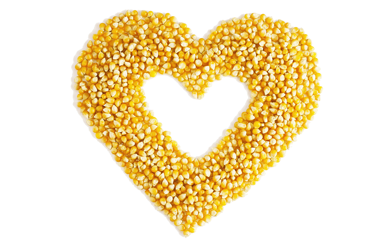 How to Prepare Homemade Carp Baits