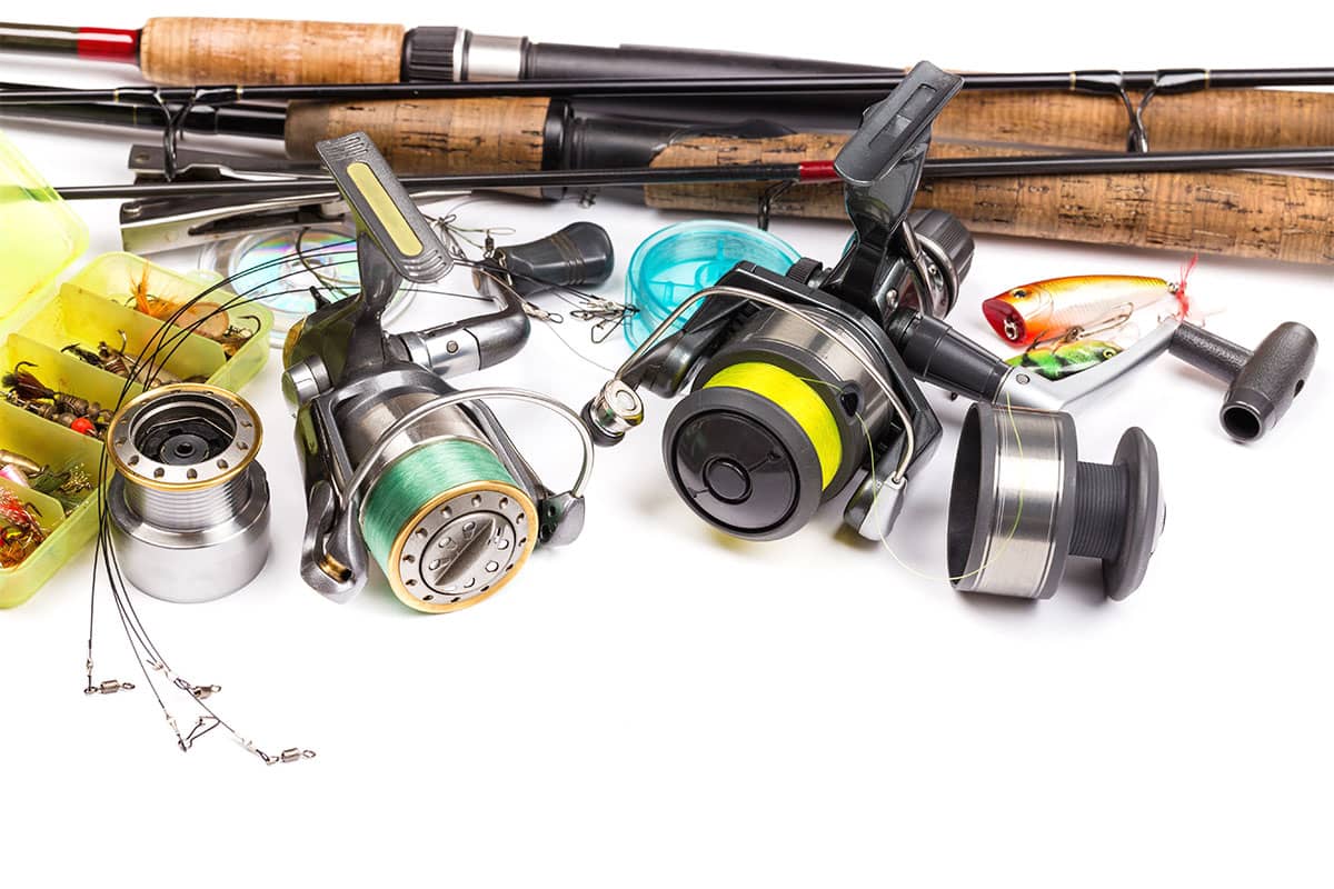 Best Carp Fishing Gear