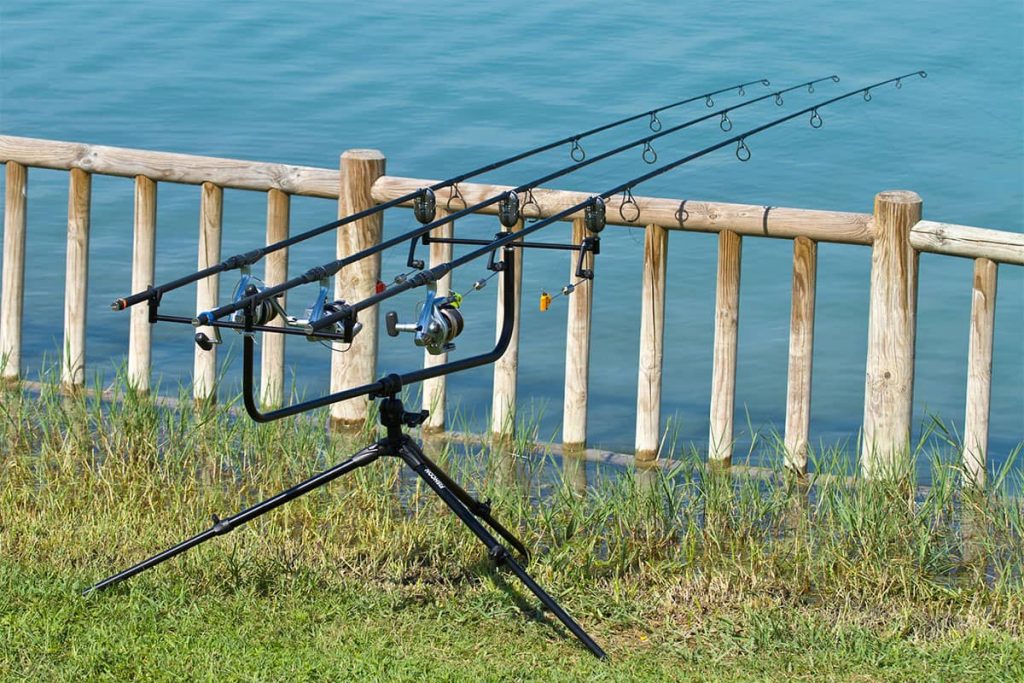 Best Carp Fishing Rod