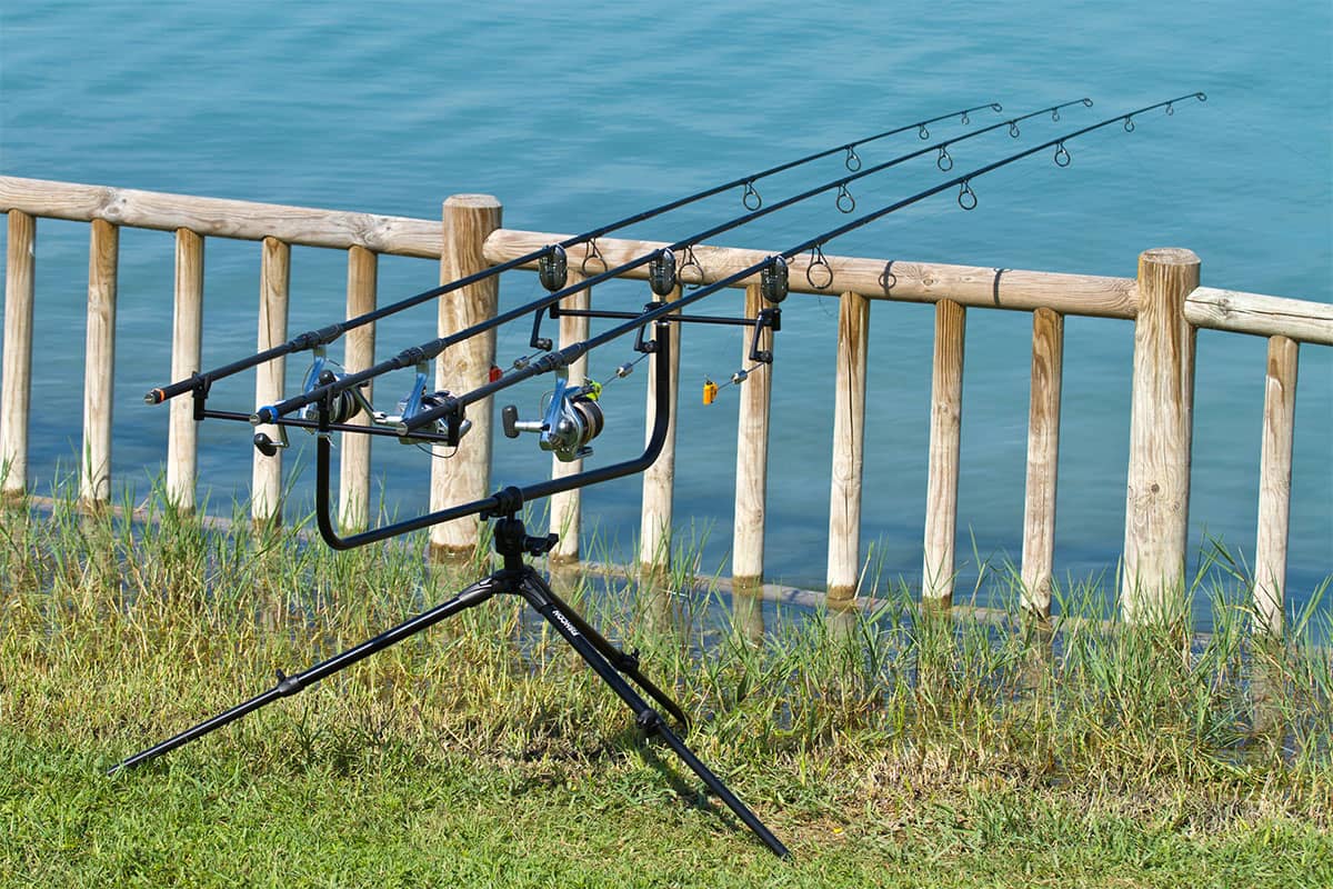 Best Carp Fishing Rod