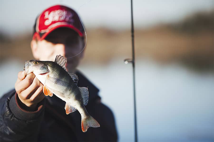 Inshore Fishing Methods