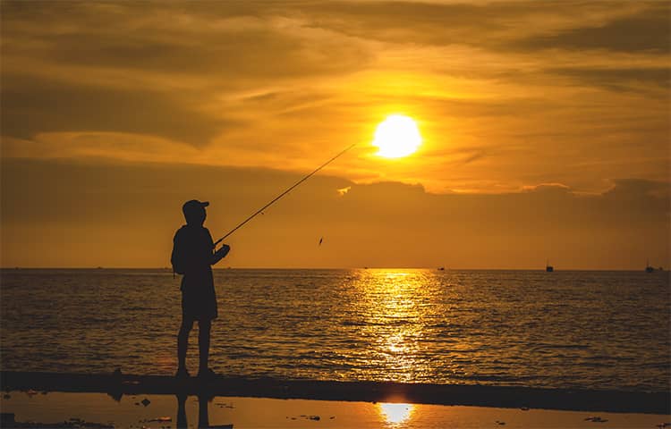 Best Time of Day to Catch Big Bluegill Mid Day