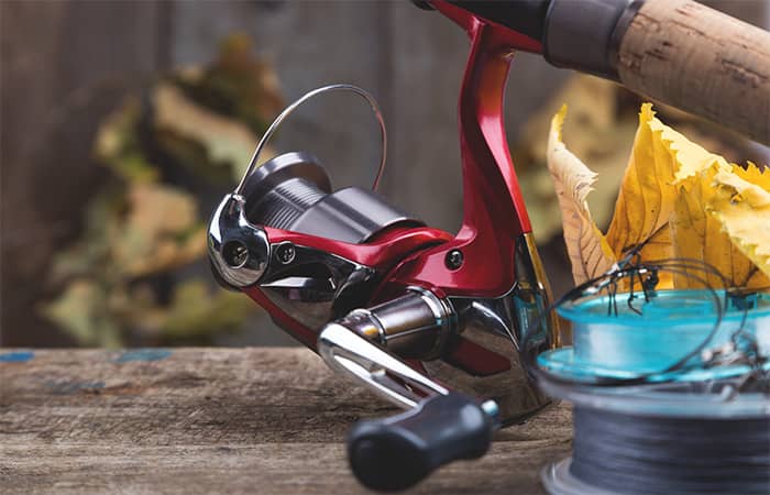 Coil Up the Fishing Line in The Spool