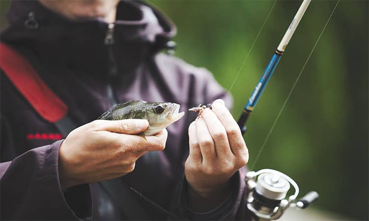 How To Remove A Fishing Hook Step by Step