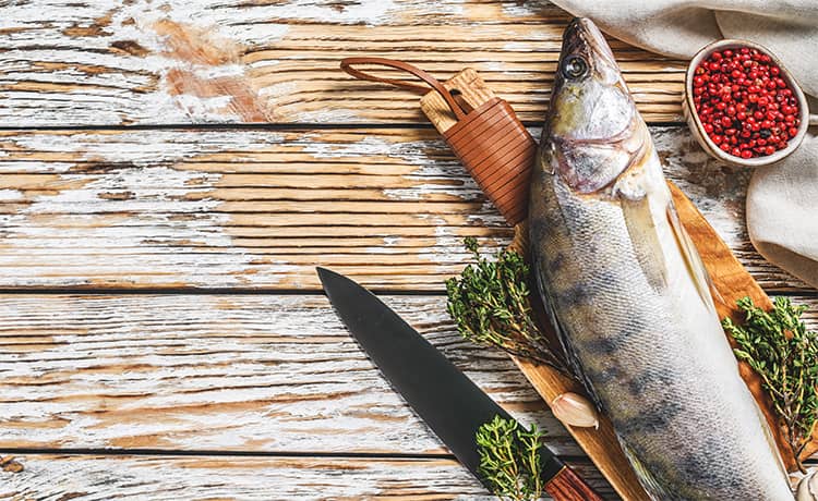 What is the Best Time to Fish for Walleye