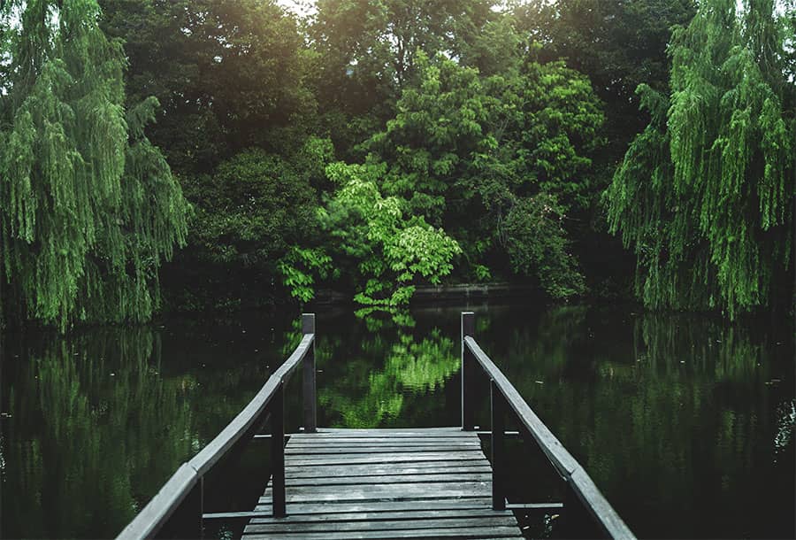 how much does it cost to build a fishing pond