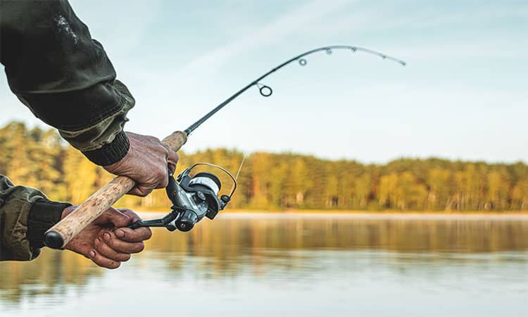 How to Set Up a Fishing Pole for Bass?