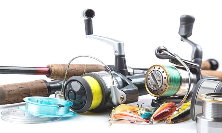 Shad Fishing Reel and Line