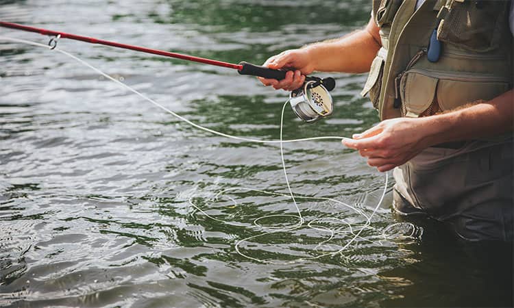 What Size Test Line for Bass Fishing?