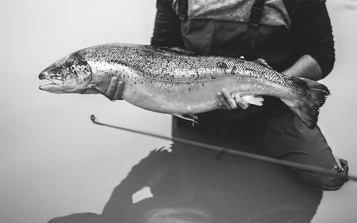 Chinook Salmon Fishing