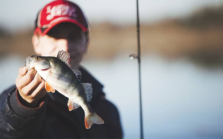 Largemouth Bass Fishing