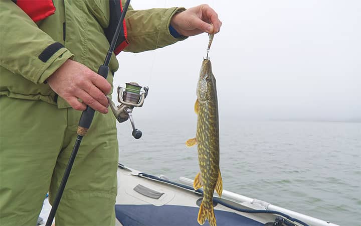Northern Pike Fishing