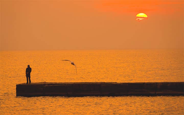 Striped Bass Rigs for Pier Fishing