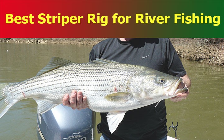 Best Striper Rig for River Fishing