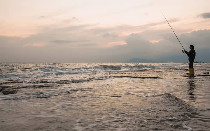 How to Catch Striped Bass from Shore?