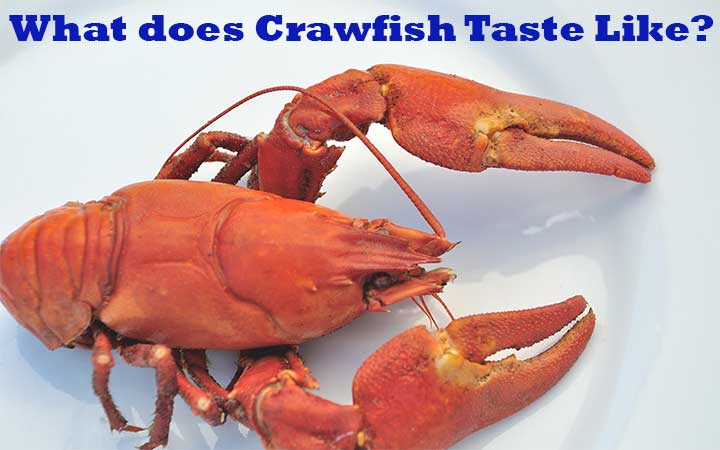 What does Crawfish Taste Like?