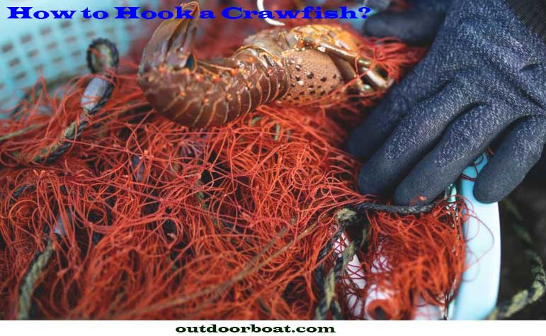 How to Hook a Crawfish?