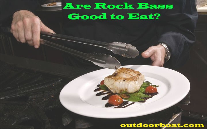 Are rock bass good to eat?