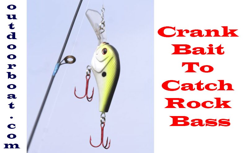 Crankbait To Catch Rock Bass