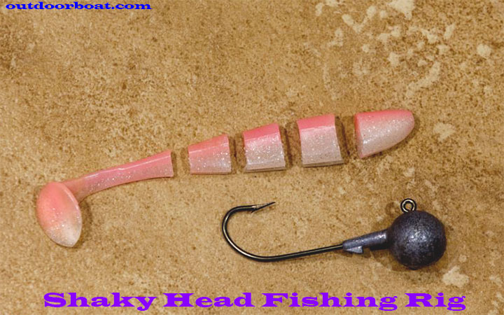 Shaky Head Fishing Rig