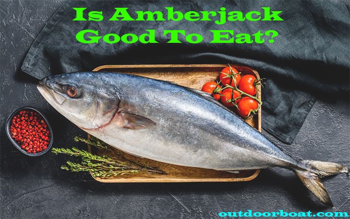 Is Amberjack Good To Eat?