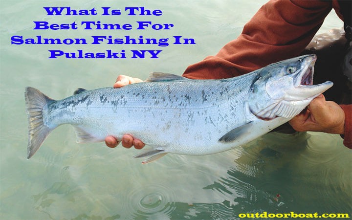 What Is The Best Time For Salmon Fishing In Pulaski NY