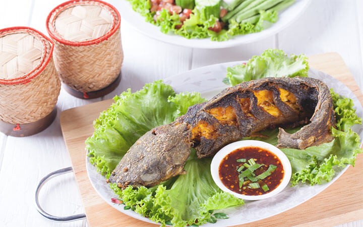 Are Channel Catfish Good to Eat