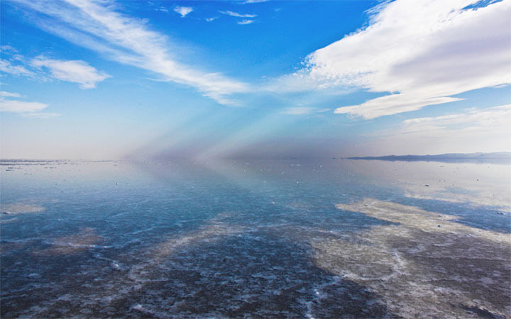 Are There Fish in Salt Lake?