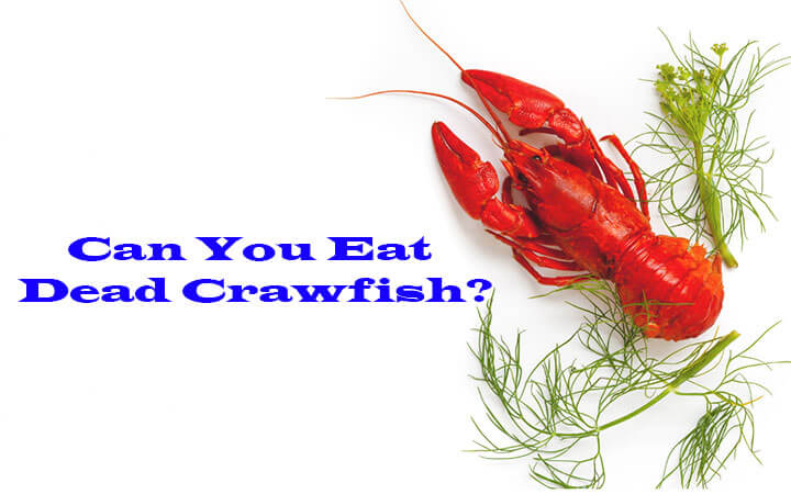 Can You Eat Dead Crawfish?