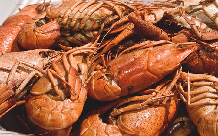 Are Crawdads And Crawfish The Same Thing