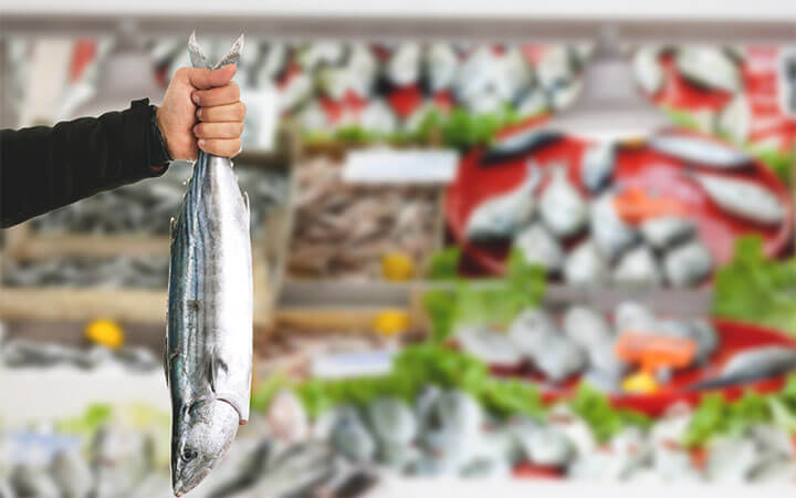 Are Bonita Good To Eat?